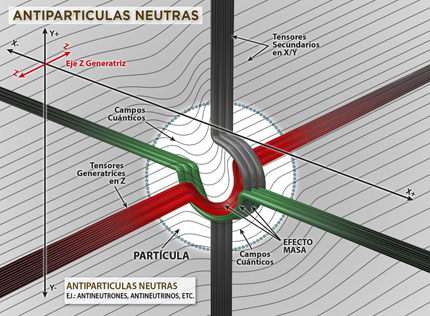 Antiparticulas Neutras